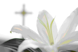 Simboli Uskrsa - Uskrsni ljiljan